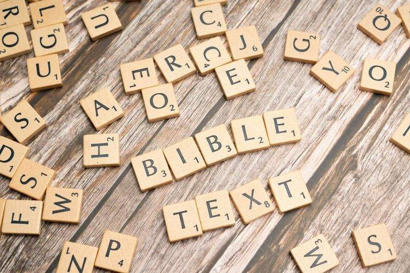 株式会社こもれびペットケア 10