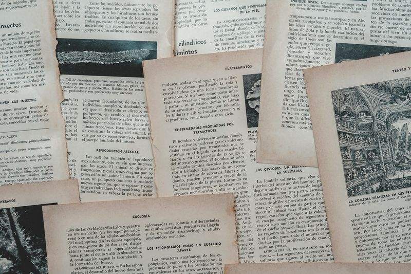 株式会社こもれびペットケア 12