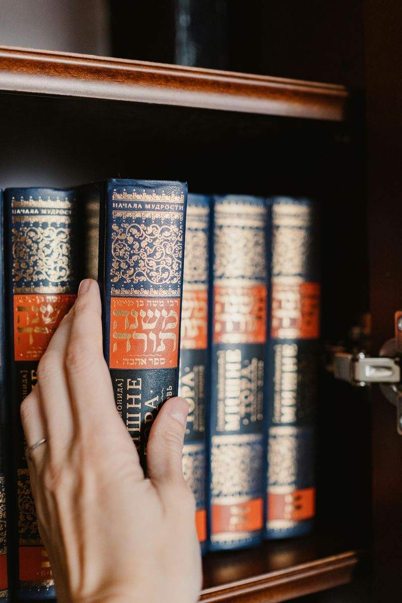 株式会社こもれびペットケア 14