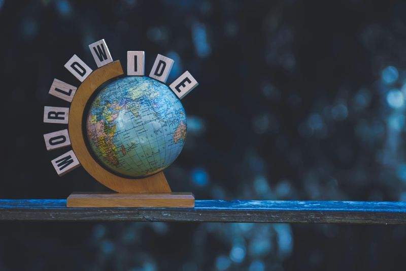 株式会社こもれびペットケア 5